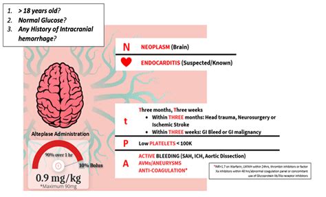 Inside the Stroke Window: Back to Basics - County EM