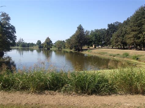 Aquatic Restoration Services