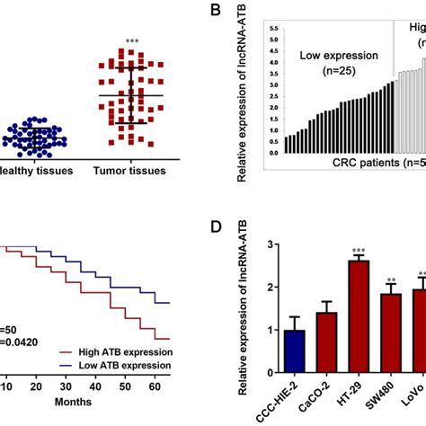 Lncrna Atb Expression Is Upregulated In Crc Tissues And Cell Lines A Download Scientific