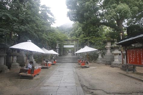 Kotohiragu Shrine 金刀比羅宮 桜馬場入口の狛犬 ＜香川県琴平町＞ 阿吽探訪 狛犬と仁王像3