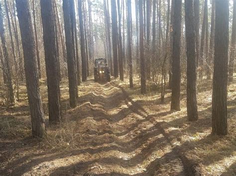 В Курской области утвердили сводный план тушения лесных пожаров на 2024 ...