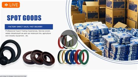 SNAK OIL SEAL FACTORY WASHING MACHINE OIL SEAL Product Show Stream 2023