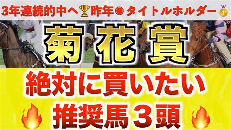 【菊花賞2022 競馬予想】ガイアフォース過去最高のデキ？プロが全頭診断から導く絶好の3頭 競馬動画まとめ