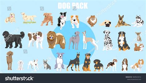 57 Breeds Of Dog Chart Svg  Png 1620 Dog Chart Dog Breeds Chart