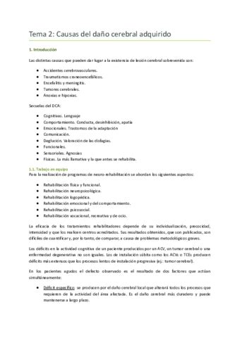 Tema 2 Causas Del Dano Cerebral Adquirido Pdf