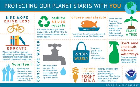 Protecting Our Planet Starts With You