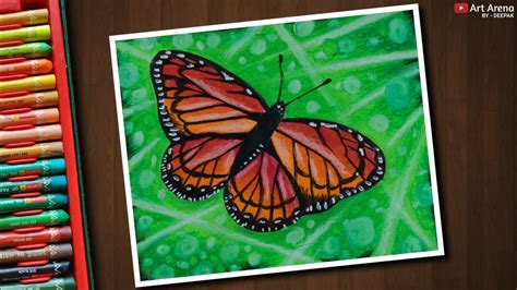 Butterfly Drawing For Beginners With Oil Pastels Step By Step Youtube