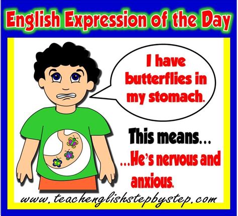 I Have Butterflies In My Stomach Idiomatic Expressions Pinterest