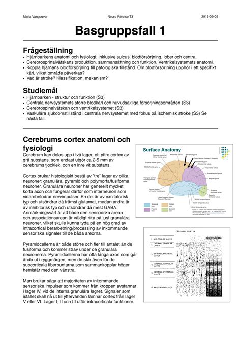 Basgruppsfall Hj Rnans Anatomi Och Normalfysiologi Maria