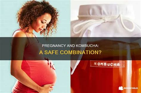 Pregnancy And Kombucha A Safe Combination Shunchild