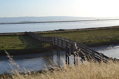 Don Edwards San Francisco Bay National Wildlife Refuge Wikipedia