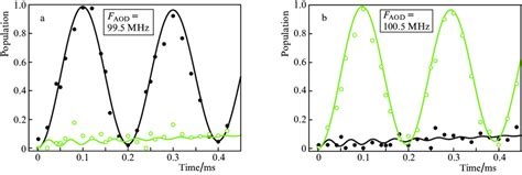 Rabi Oscillations Upon Individual Addressing Of 87 Rb Atoms In Traps