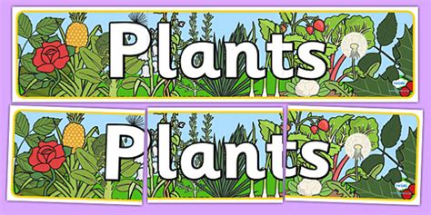 Free Plants Display Banner Teacher Made