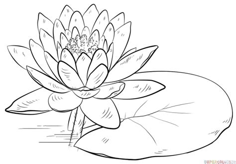 Lotus Flower Drawing Images at GetDrawings | Free download