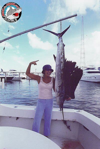 Celebrity Photos With World Famous Mark The Shark Of Miami Beach South