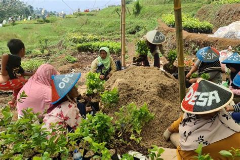 Isi Rangkuman Prakarya Kelas Sma Semester Bab Materi