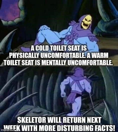 Skeletor Memes: 40 Memes For An Evil Cackle