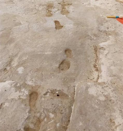 23000 Year Old Human Footprints Found In New Mexico Are Revolutionary