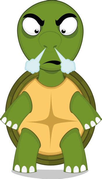 Scared Turtle Illustrations Royalty Free Vector Graphics And Clip Art