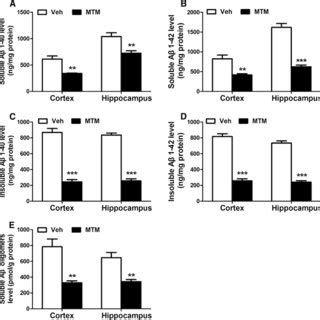 Mithramycin A Mtm Treatment Inhibits Sp Mrna And Protein Expression