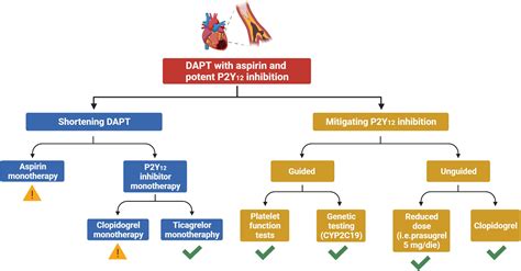 Frontiers De Escalation Of Antiplatelet Therapy In Acute Coronary