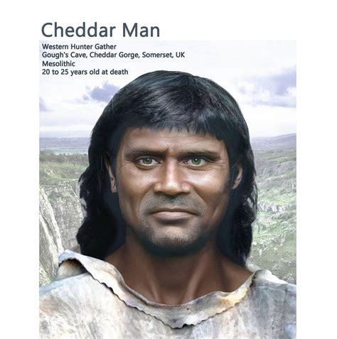 Cheddar Man By Philipedwin On Deviantart