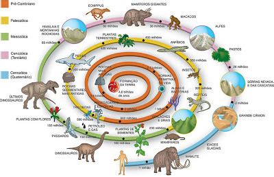 La evolución de las especies