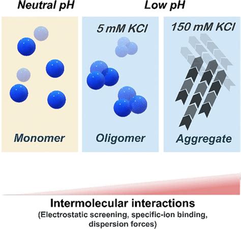 Electrostatic Modulation Of Intramolecular And Intermolecular