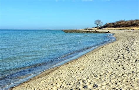 Beach Of Darss Peninsula At Baltic Sea In Germany Stock Photo Image