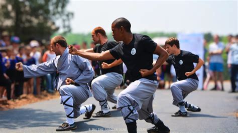 Fundamentos do Kung Fu técnicas e tradições para iniciantes Maling