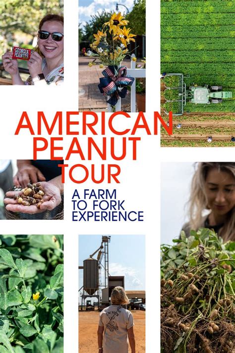 American Peanut Tour A Farm To Fork Experience Farm American