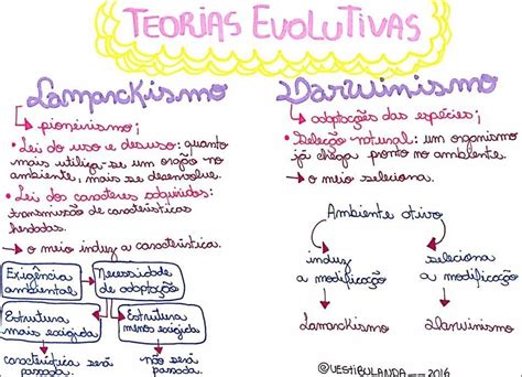 Mapas Mentais Sobre Darwinismo Study Maps