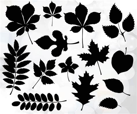 Leaf Svg Files