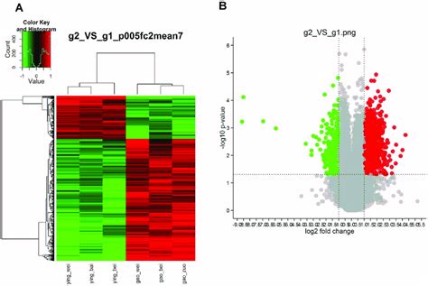 Gene Expression Profiling Analysis Of Differential Expression Genes In