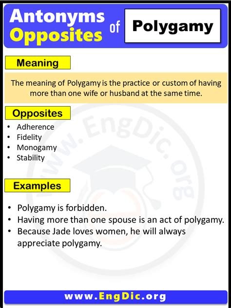 Opposites Of Polygamy Archives EngDic