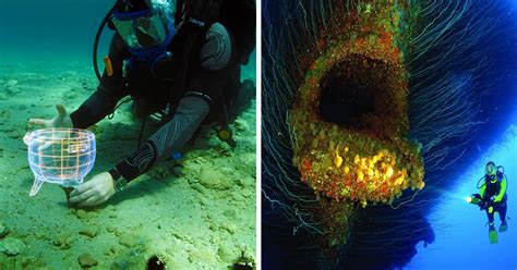 13 Strange Underwater Discoveries Off Americas Shores 12 In Europe