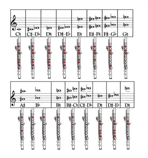 Flute Finger Chart All Notes Flute Fingering Chart Flute Chart