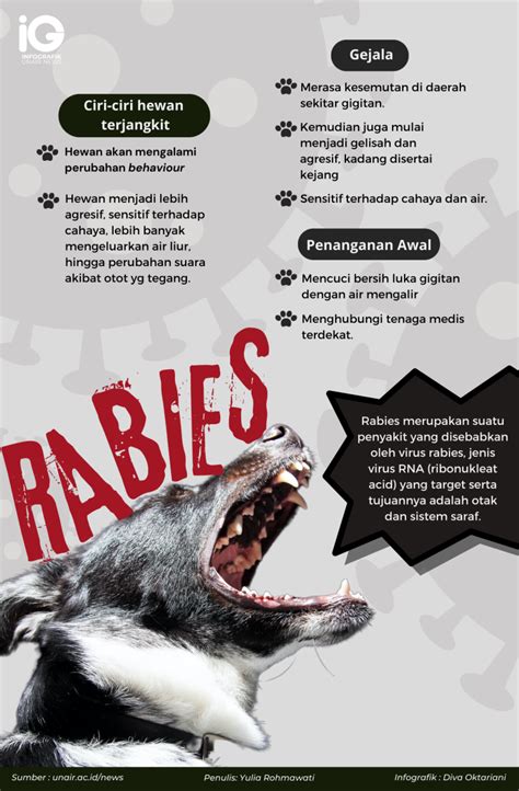 Infografik Penyakit Rabies