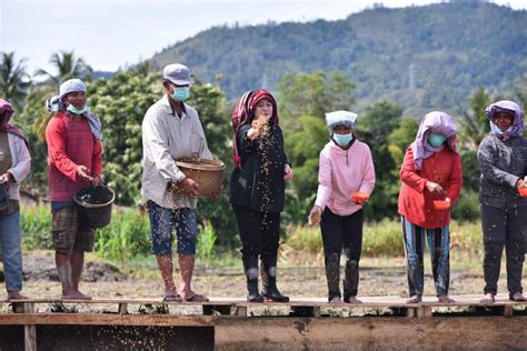 Puan Minta Pemerintah Bantu Petani Yang Gagal Panen Akibat Terendam Banjir