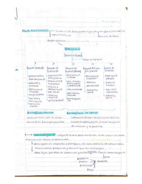 Solution Areas Funcionales De La Administraci N Studypool