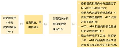 文献解读fc 结合蛋白质组学和代谢组学方法阐明白番石榴的成熟过程 知乎