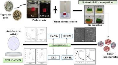 Frontiers Green Synthesis Of Silver Nanoparticles From Vegetable