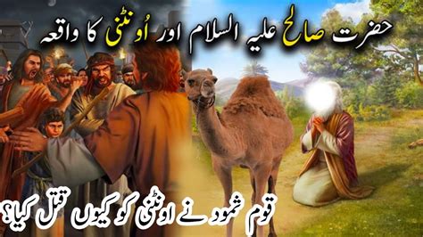 Hazrat Saleh AS Aor Oontni Ka Waqia Islamic Events Islami Waqayt