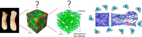 Frontiers Material Function Of Mycelium Based Bio Composite A Review