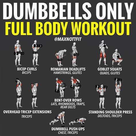 Incredible Dumbbell Arm Workout Routine At Home For Gaining Weight Workout For Upper Body