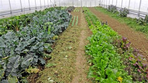 Gartenerde F R Gem Se Anbauen Welche Braucht Ihr Haus Und Beet