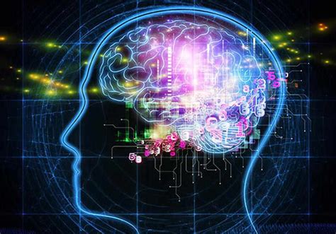 Neuroscienze Cognitive Metodi E Approcci Formative Zone Blog