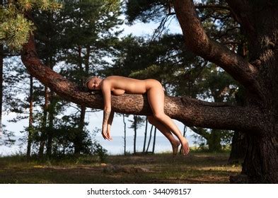 Naked Woman Lying On Tree Branch Stock Photo 346451828 Shutterstock
