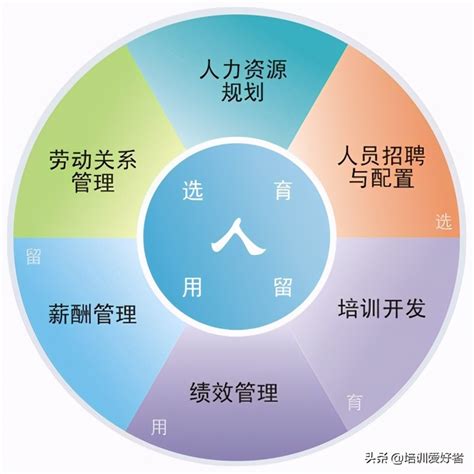 人力资源六大模块是什么需要知道哪些最最基础的知识 工作号