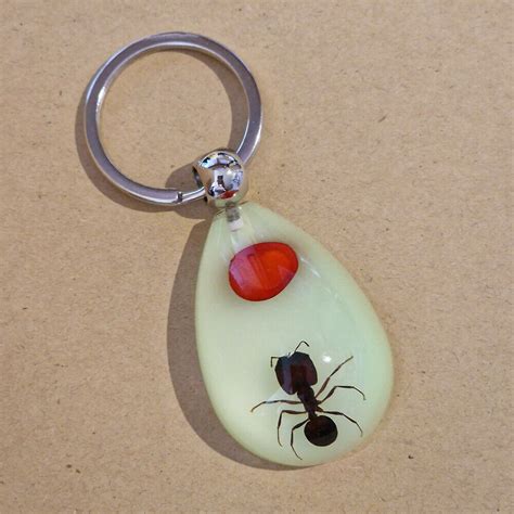 Insect Specimen In Resin Luminous Glow In The Dark Keyring Bottle